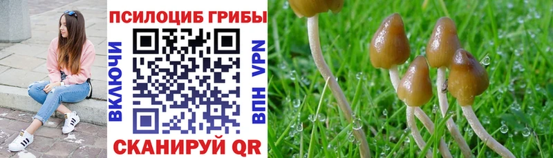 магазин продажи   Ачинск  Псилоцибиновые грибы ЛСД 
